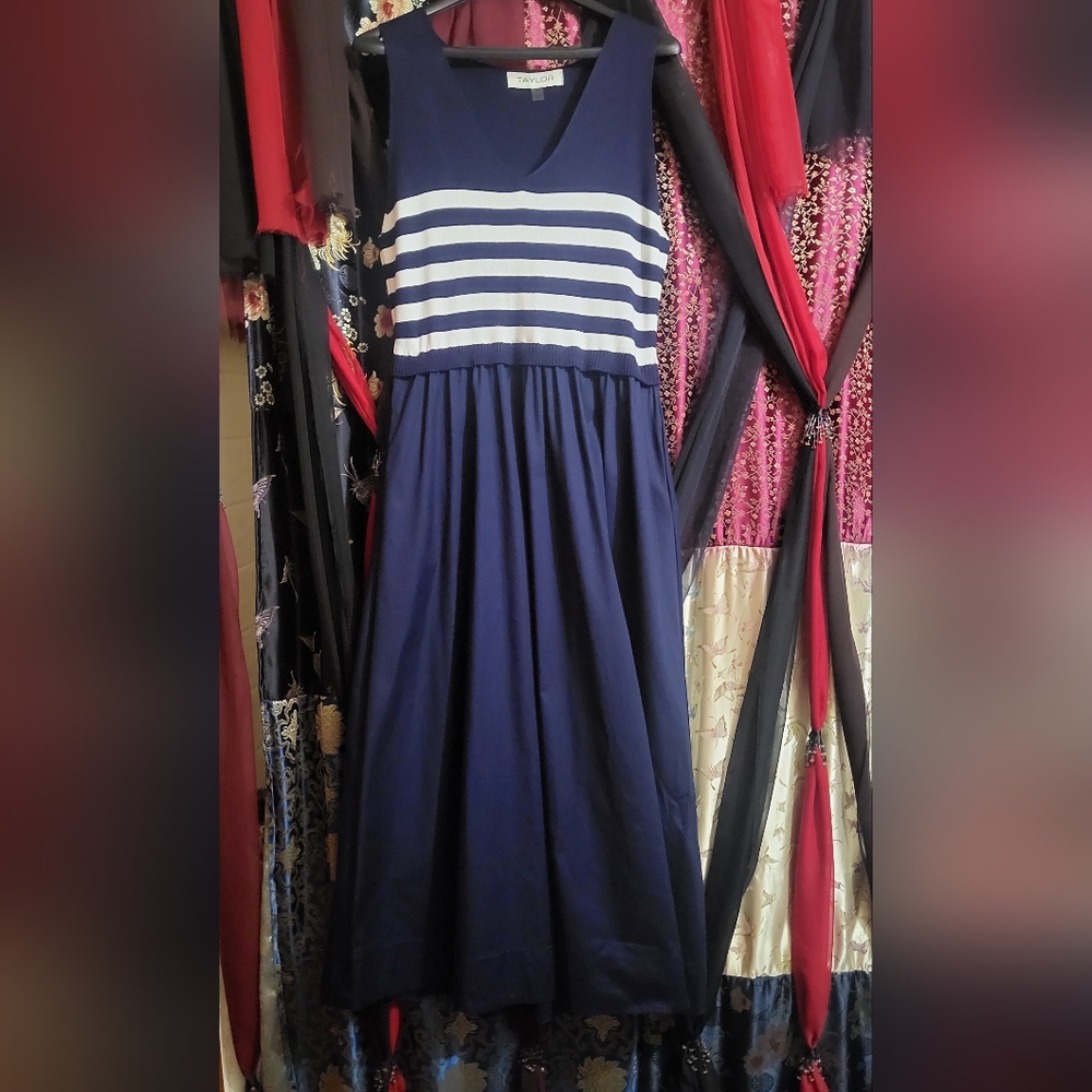 Taylot V Neck Dress